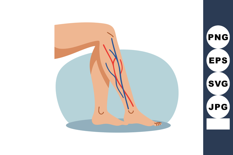 Leg Clipart Image 6