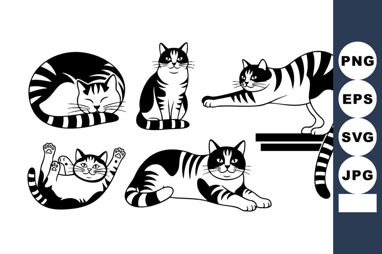 Black and White Striped Cat Poses Vector Illustration