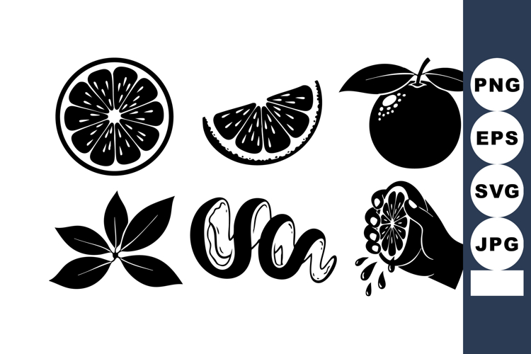 Fruit Vector Image 6