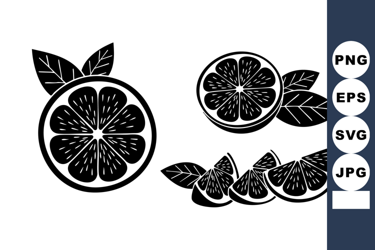Fruit Vector Image 19
