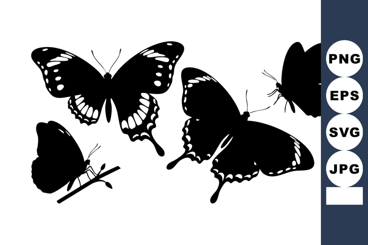 Wings Silhouette Image 14