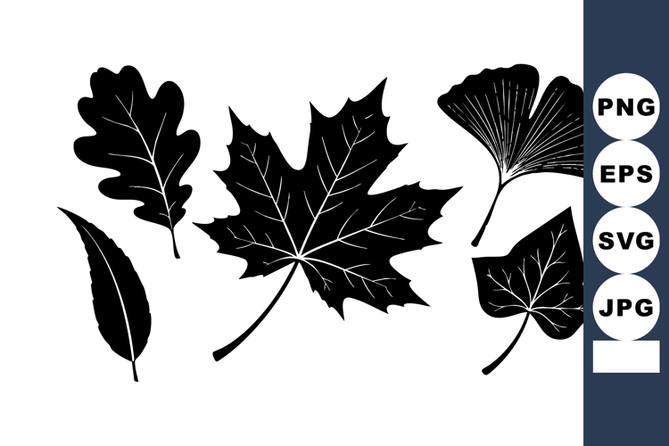 Leaf Vector Image 6