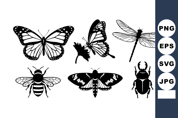 Moth Illustration Image 10