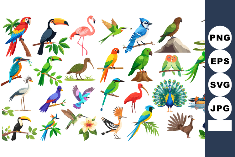 Bird Clipart