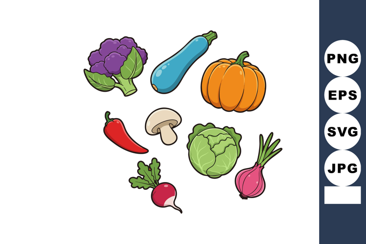 Zucchini Clipart
