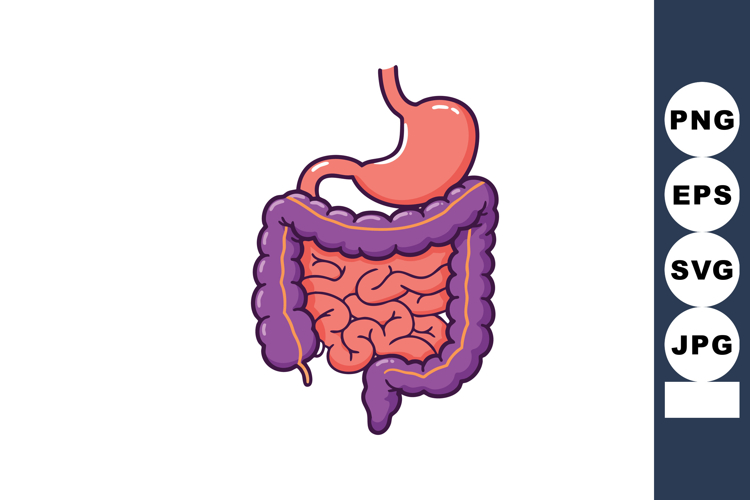 Organ Clipart Image 8