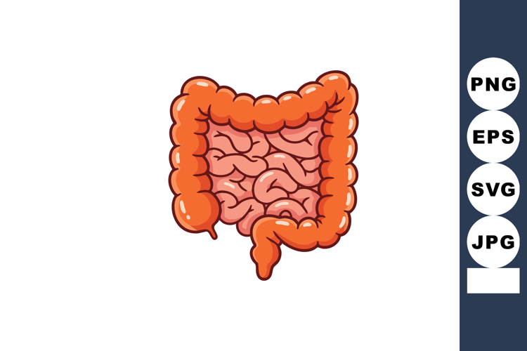Organ Clipart Image 7