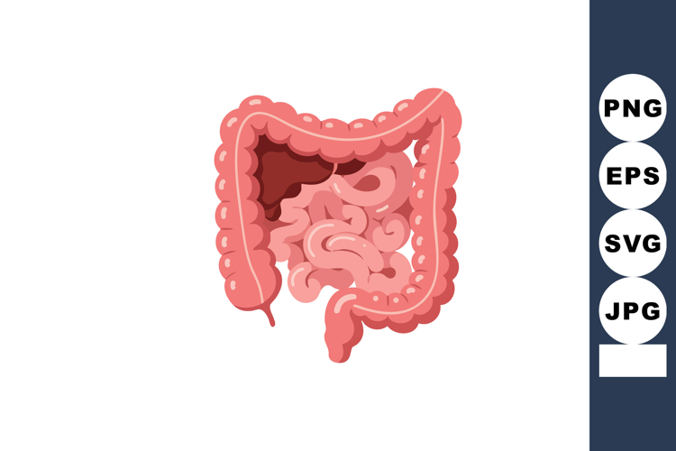 Anatomy Clipart Image 3