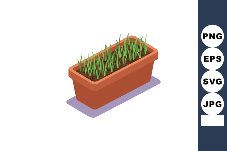 Indoor planter box with green grass sprouts healthy growing
