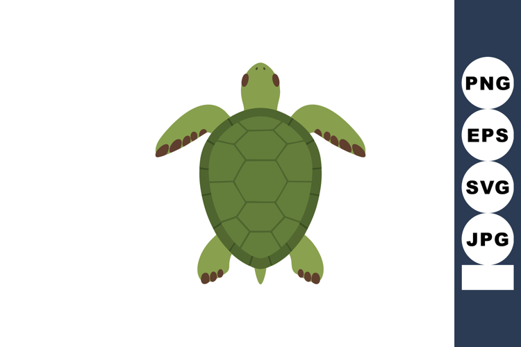 Sea Turtle Vector Image 21