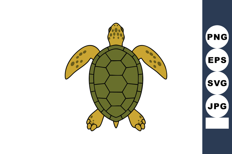 Sea Turtle Vector Image 22