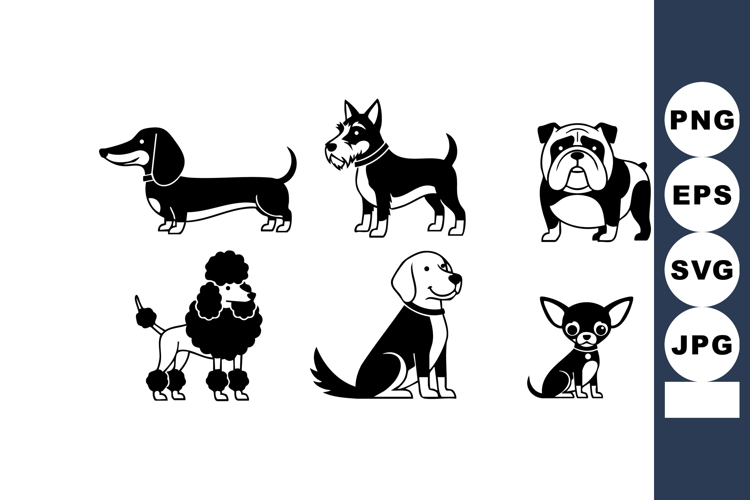 Poodle Vector Image 12