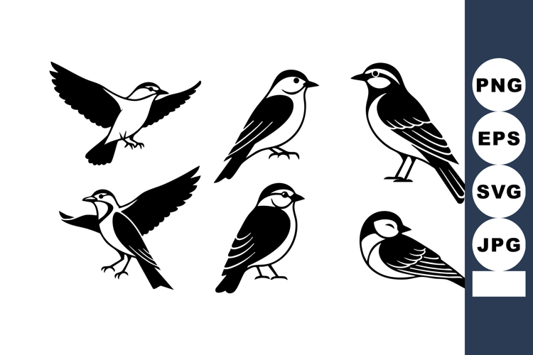 Bird Vector Image 14