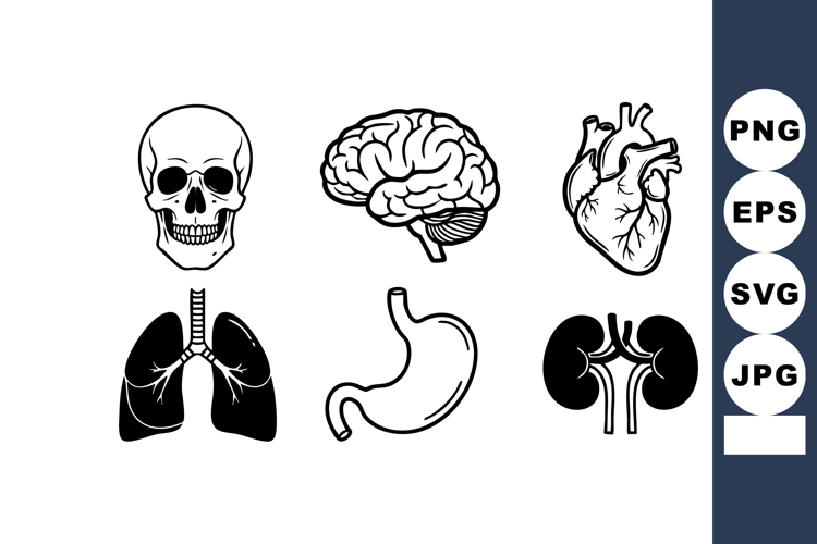 Brain Clipart Image 16