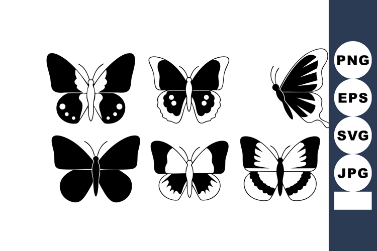 Insect Illustration Image 10