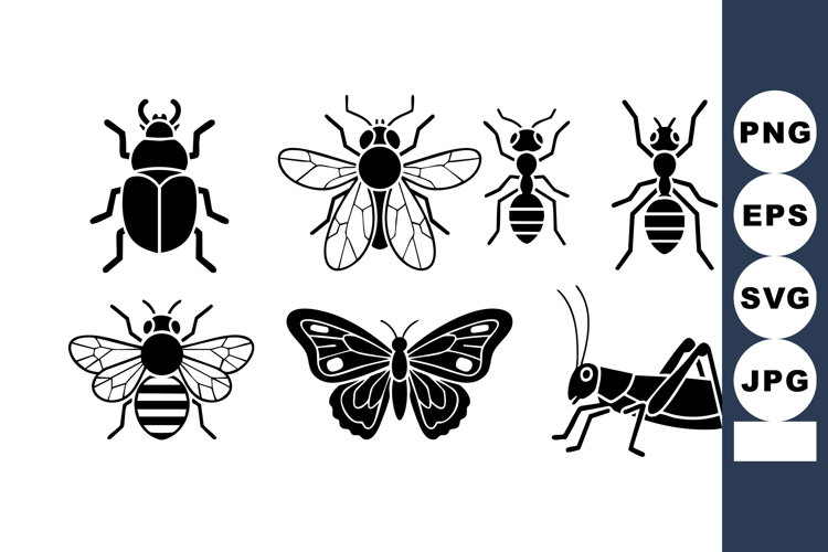 Beetle Clipart Image 7