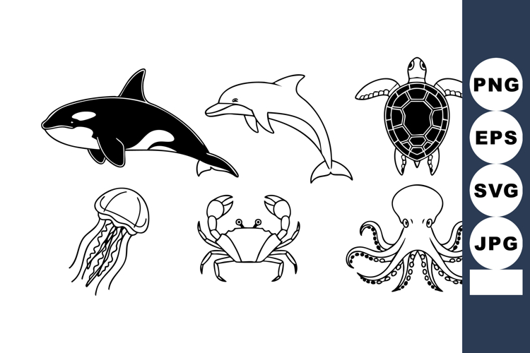 Dolphin Clipart Image 6