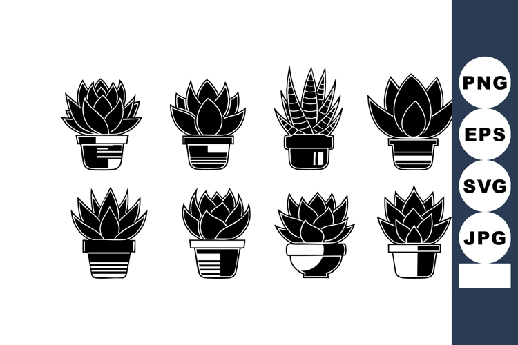 Succulent Clipart