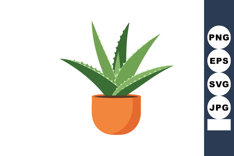 Succulent Clipart Image 4