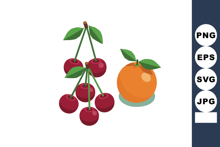 Fruit Vector Image 13