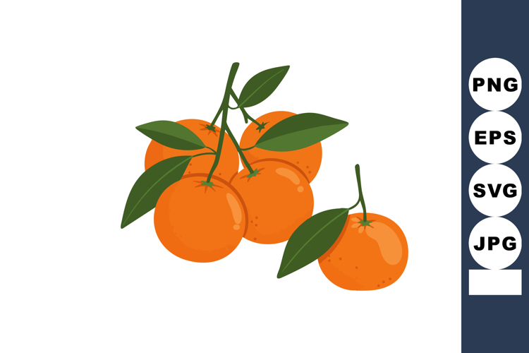 Oranges Clipart