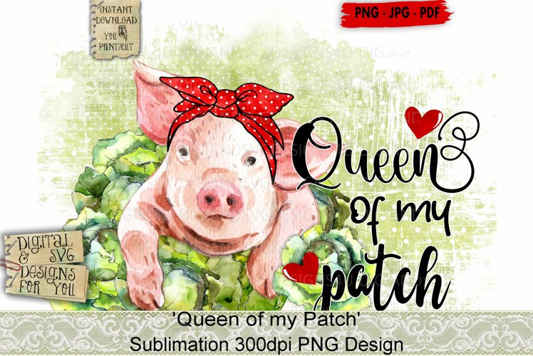 Pig Clipart Image 11