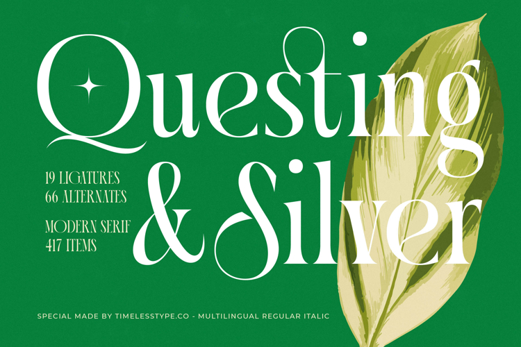 Branding Font Image 24