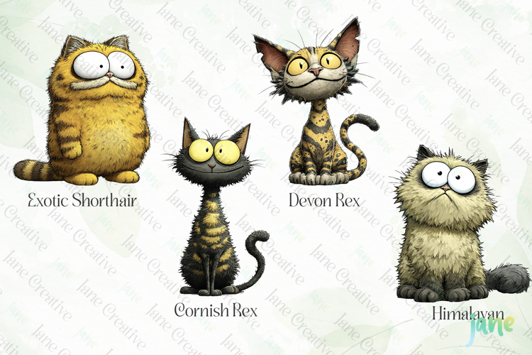 Quirky Funny Cats Sublimation