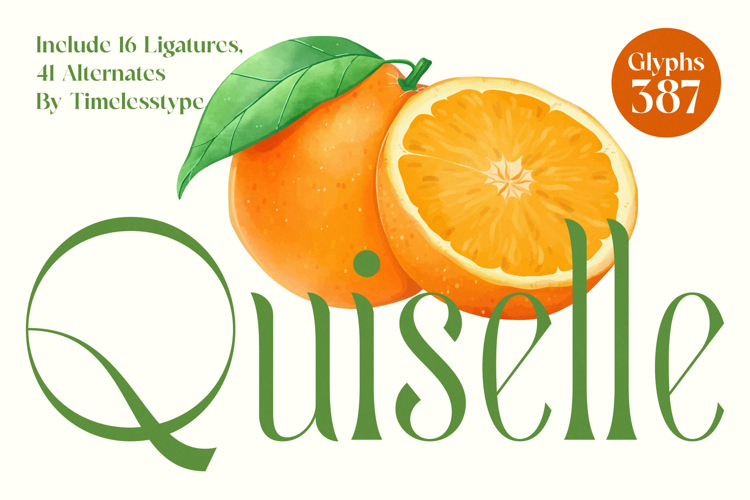 Quiselle - Modern Serif Font