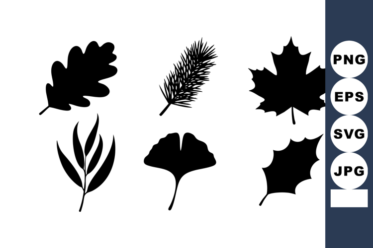 Fall Leaves Vector Image 4