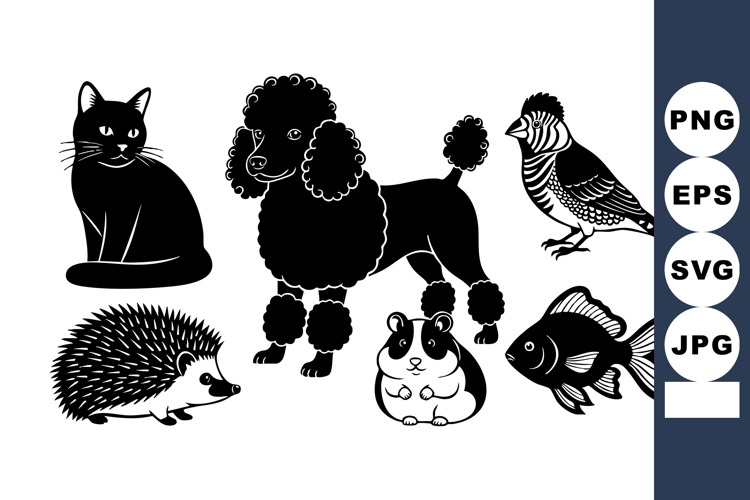 Bird Vector Image 20