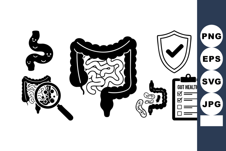 Digestive System Illustration Image 8