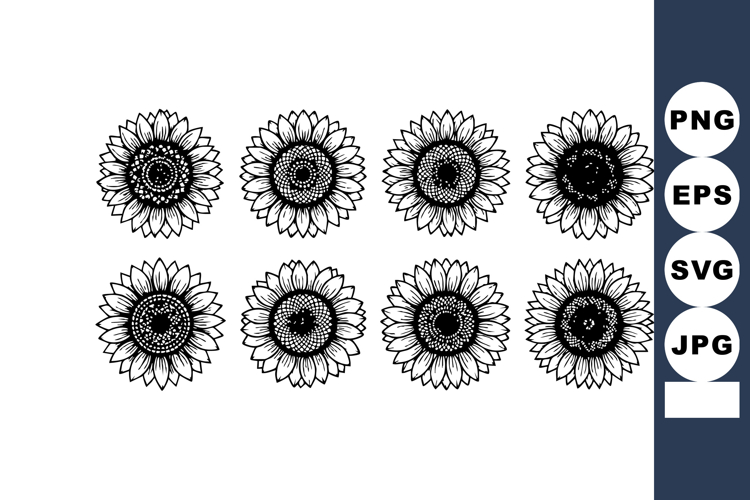 Sunflower Vector Image 23