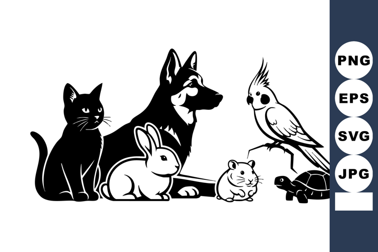 Turtle Illustration Image 19