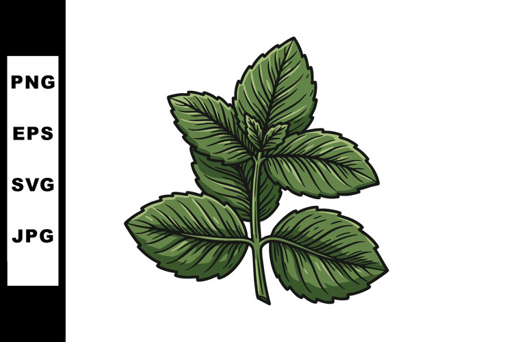 Mint Clipart Image 4