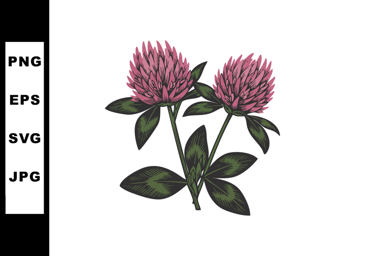 Clover Clipart Image 6