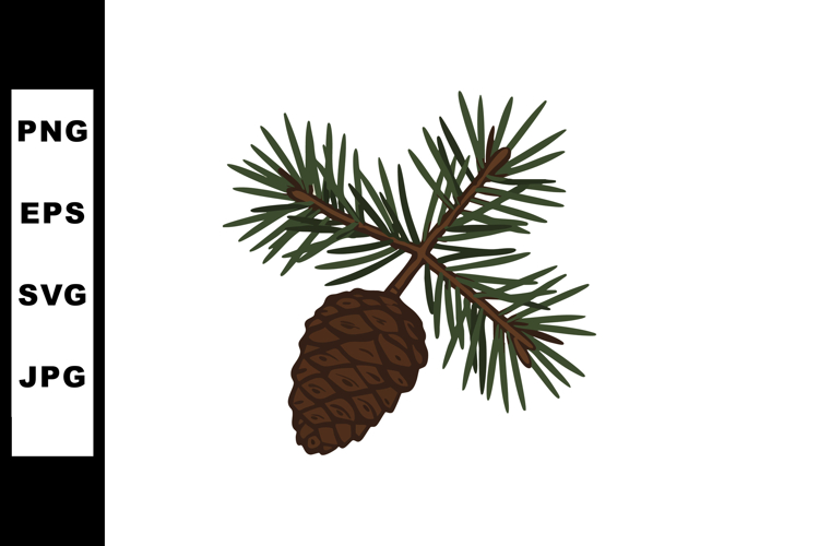 Pine cone with green pine needles vector illustration natura example image 1