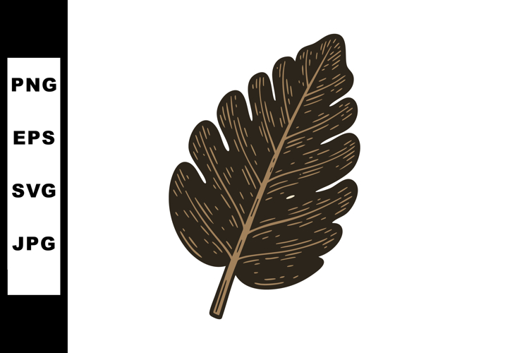 Oak Tree Vector Image 19
