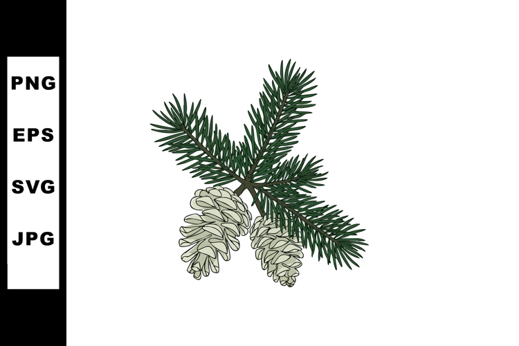 Pine Tree Vector Image 17