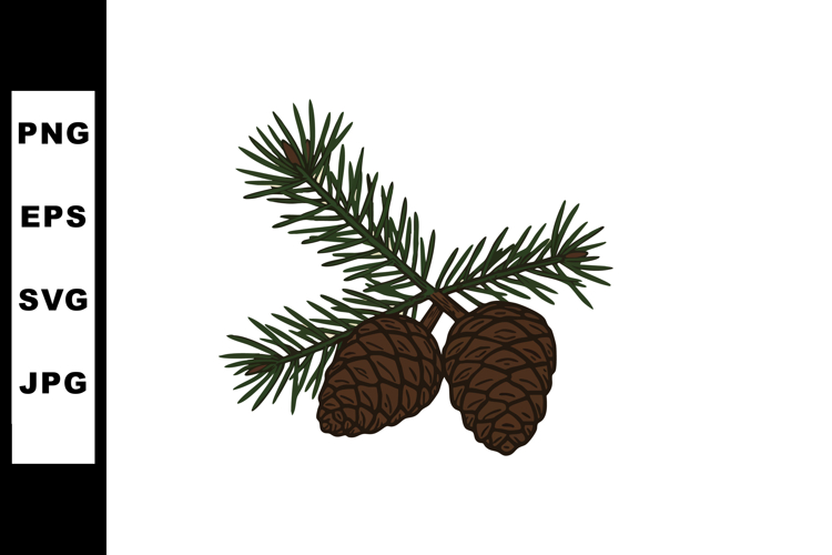 Pine Tree Vector Image 19