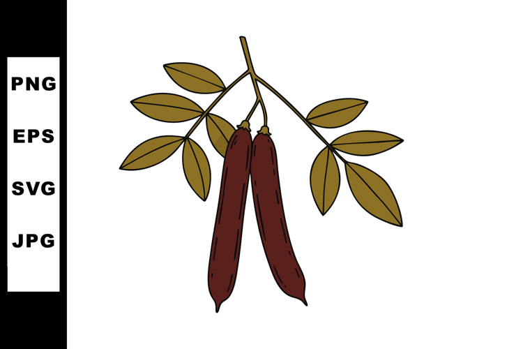Seed Clipart Image 17