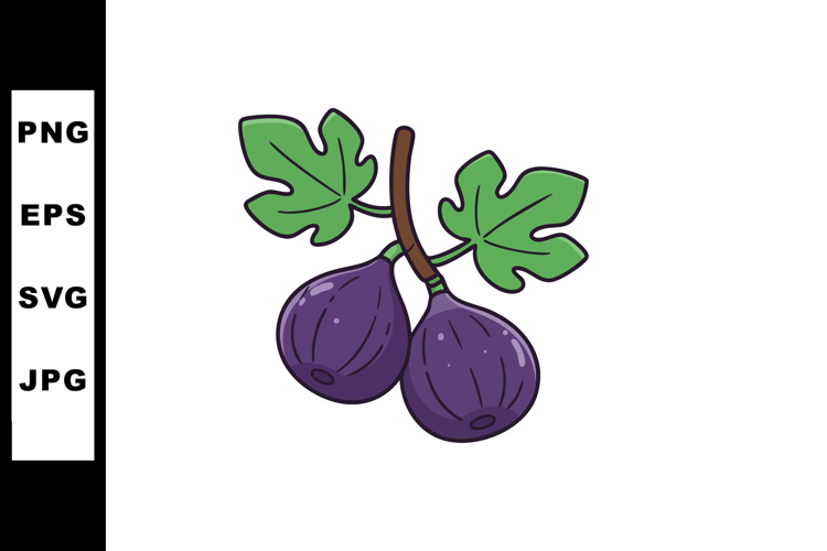 Fruit Vector Image 21