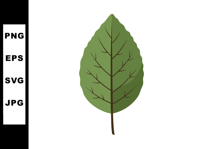 Leaf Clipart Image 22