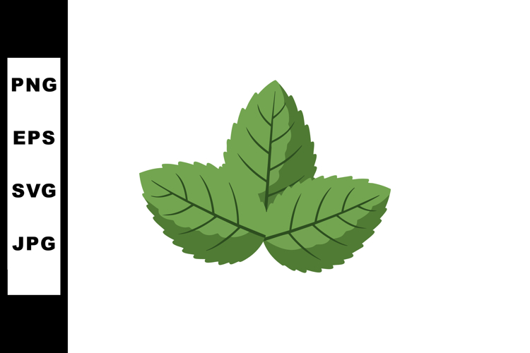 Mint Clipart Image 2
