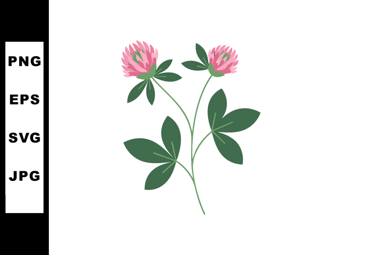 Clover Clipart Image 3