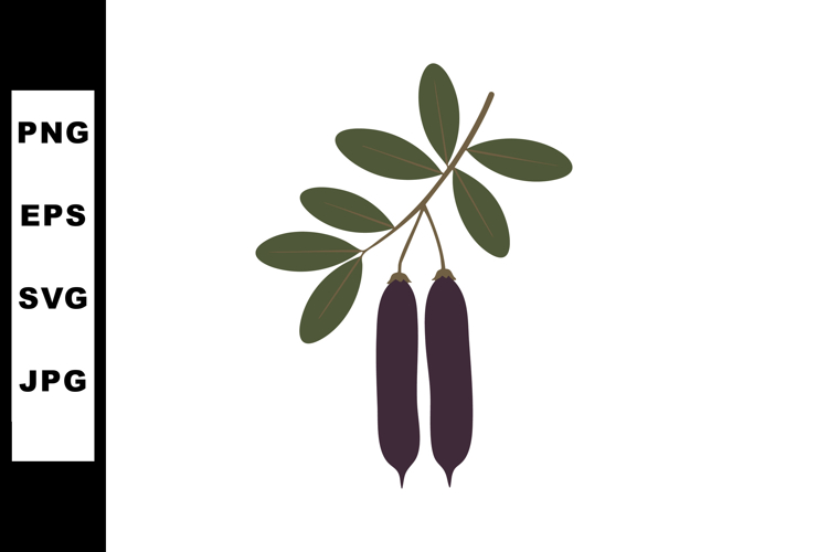 Seed Clipart Image 14