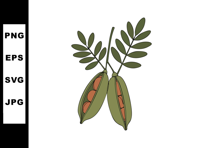 Seed Clipart Image 13