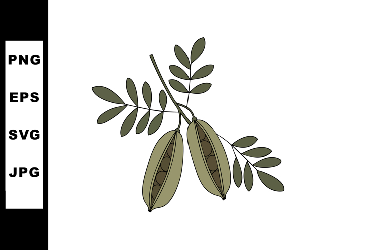 Seed Clipart Image 12