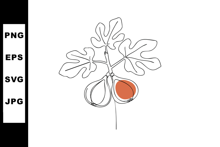 Fruit Clipart Image 14