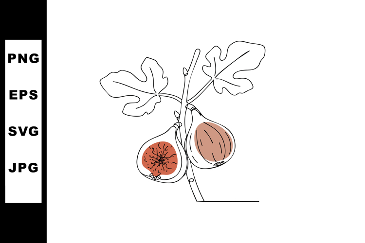 Fruit Clipart Image 12